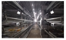 “H”Type Pullet Cage System