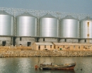Bolt Silo for Soybean