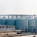 6000 Tons Grain Silo
