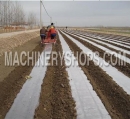 Drip type potato planter