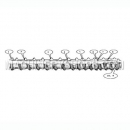Screw configuration for extruding corn (PHY200)