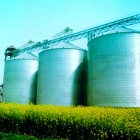 Grain Storage Silo for Pistachio